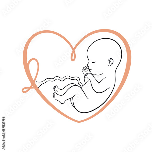 Baby Inside Heart Illustration Simple Design.