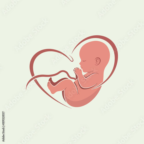 Fetal Illustration Inside Heart Shape Symbol.