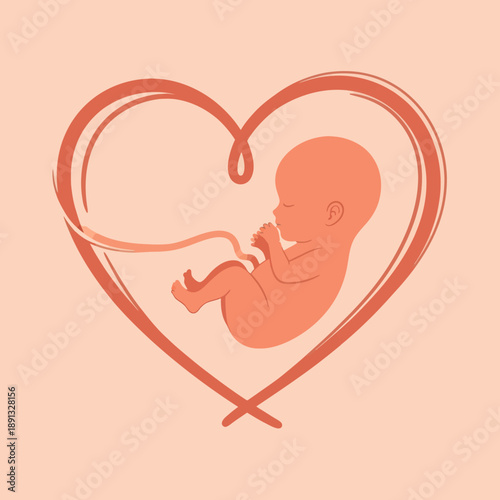 Illustration of Fetus in Heart Shape.
