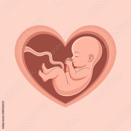 Fetal Illustration Inside Heart Shape Symbol.