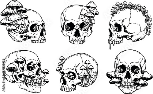Black and white tattoo flash style human skulls with mushrooms growing organic surreal art composition detailed vector line art set