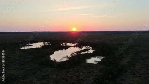 Aerial bog view in the summer evening