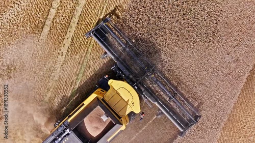 Combain harvester in the corn field 