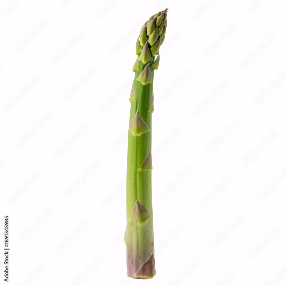 Fototapeta premium Fresh green asparagus spear on white background