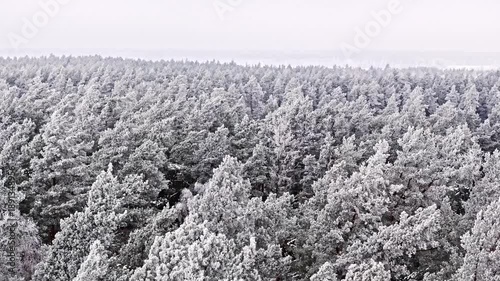 Aerial view and frozen trees