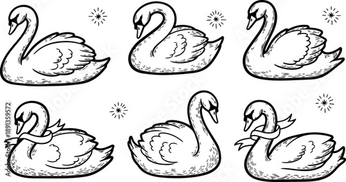 Black and white hand drawn swan illustrations set with elegant bird poses and graceful line art style on white background