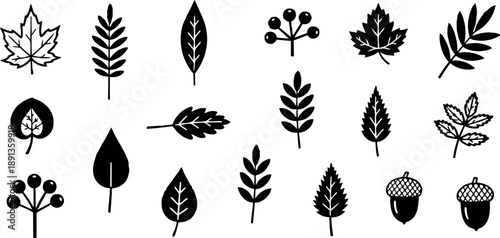 Minimalist black and white flat design autumn leaves and acorns vector stickers arrangement on light background