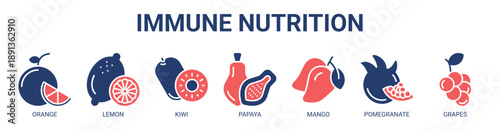 Immune Nutrition web banner icon vector illustration concept with icon of orange, lemon, kiwi, papaya, mango, pomegranate, and grapes.