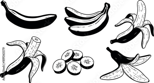 Black and white hand drawn banana peel sliced banana bunch and peeled bananas vector art set in vintage style