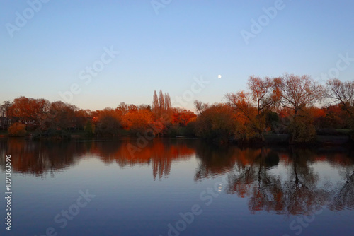 Photos A beautiful scenic late afternoon view of rich autumn colours on the trees across the lake in Lake Meadows park, Billericay, Essex
