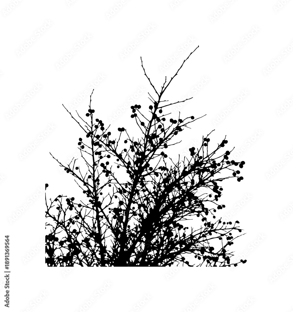 Fototapeta premium Black Silhouette of a Tree