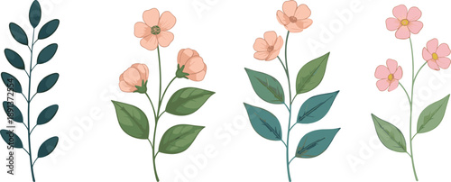 Minimal floral branches collection with pastel flowers and leaves botanical decorative vector illustration