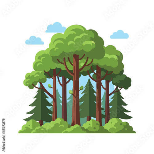 Group of Trees in a Forest