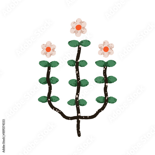 Daisy branch. Field flower. Blooming wildflower with leaf, stem. Abstract flo...