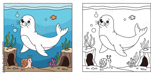 Cute cartoon white seal swimming underwater with snail and fish friends in blue ocean vector illustration