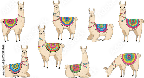 Decorated llama animals collection with colorful blankets in multiple poses cute cartoon vector illustration
