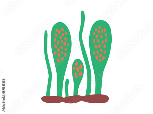 Hand Drawn Mold Ascospores Fungus
