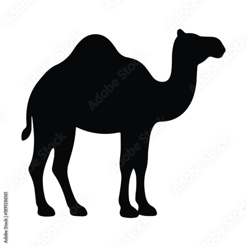Camel Silhouette Icon – Black Solid Desert Animal Illustration