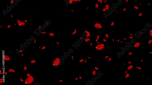 Falling Rose Petals with Alpha Channel(2)舞い落ちるバラの花びら動画素材（アルファチャンネル付き）