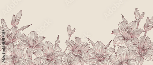 banner background of creative minimalist hand draw illustrations floral gold pink outline lily for wall decoration, postcard or brochure cover design, banner beauty web cite