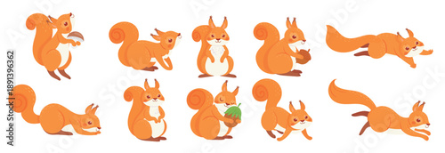 Cartoon squirrel cute squirrels with red furry tail 