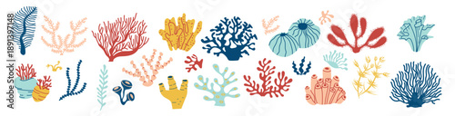  coral set underwater flora ocean plants seaweed bright