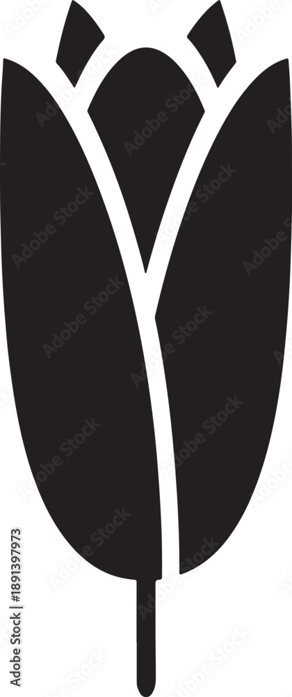 Fototapeta premium Abstract Black and White Feather Design Element for Graphic Design