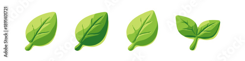 Set of four stylized green leaves with veins, isolated on a white background