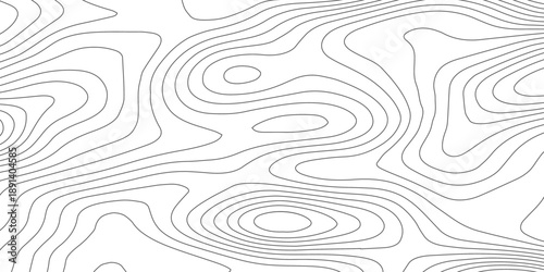 Modern abstract topographic map background combining white curved paper relief waves with black contour lines, representing terrain elevation through organic flowing curves in vector design.