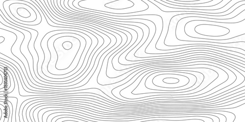Minimal black and white topography map background with curved paper relief waves and flowing contour lines, illustrating abstract terrain elevation in a clean modern vector design.