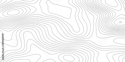 Abstract topographic contours map background featuring white paper relief waves and black contour lines, representing geographic elevation through organic flowing curves in minimalist vector line art.