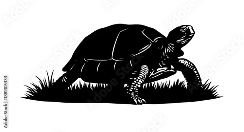turtle silhouette, sea turtle silhouette, reptile silhouette, animal silhouette, marine animal, ocean animal, sea life, underwater animal, aquatic reptile, shell animal, flipper animal, slow animal, t