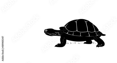 turtle silhouette, sea turtle silhouette, reptile silhouette, animal silhouette, marine animal, ocean animal, sea life, underwater animal, aquatic reptile, shell animal, flipper animal, slow animal, t