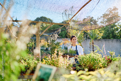 Fotografija Young female gardener carrying a tray of small plants in an outdoor garden cente