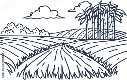 Countryside landscape with fields, road, sugarcane plants, and cloudy sky in line art