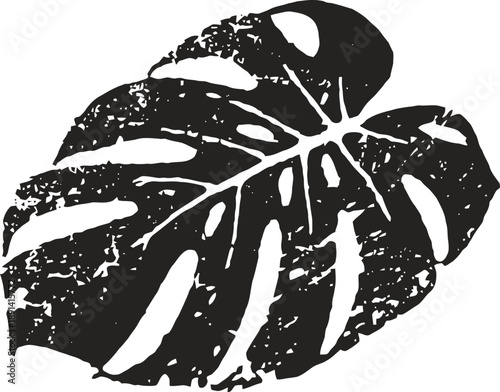 Monstera leaf silhouette with textured details isolated on white background