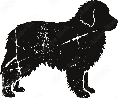 silhouette of a fluffy dog with textured distressed effect, side profile of a standing canine