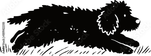 silhouette of a running dog with curly fur in grass, active playful pet outdoors