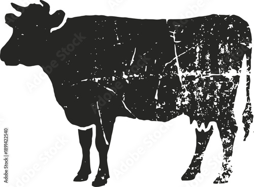 Black vintage cow silhouette with distressed texture on white background