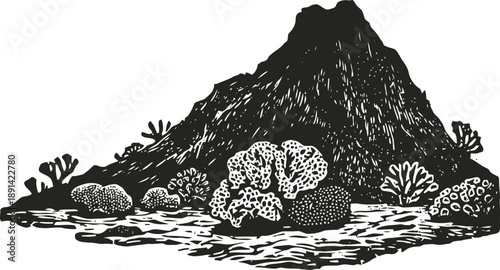 Coral reef underwater with volcanic rock and marine vegetation, ocean ecosystem habitat illustration
