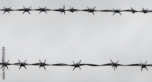 barbed wire, fence, wire, metal, steel, iron, sharp, spiked, thorned, twisted, industrial, security, protection, danger, warning, hazard, restricted, boundary, border, barrier, prison, military, illus