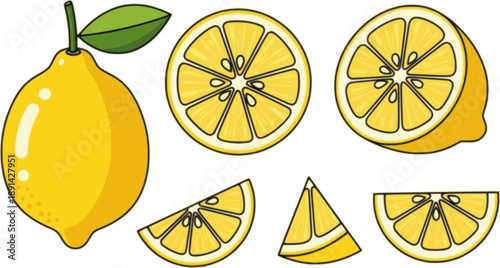Lemon cut slices vector set, Whole, half and slice chopped lemon fruit flat collection.
