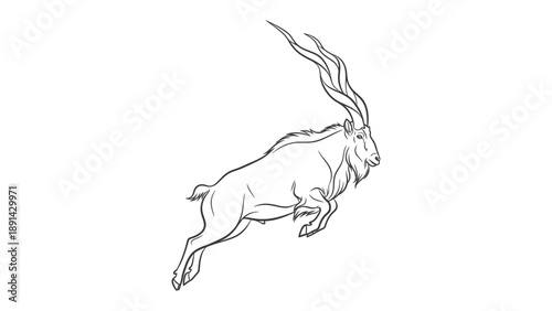 Majestic Ibex Sketch: A graceful ibex in mid-leap, its long horns proudly on display, drawn in elegant lines against a neutral backdrop.