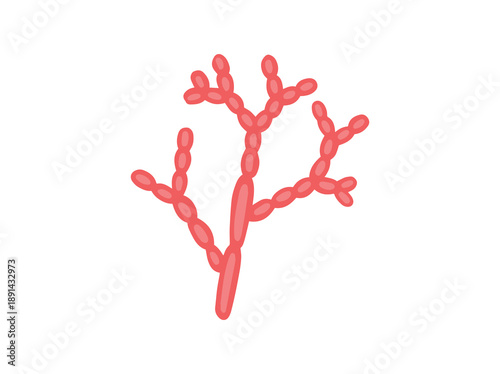 Mold Spore Cladosporium Fungus Illustration
