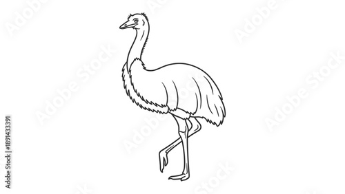 Emu illustration: A simple sketch of an emu, a tall, flightless bird native to Australia, captured with clean lines and a minimalist aesthetic.