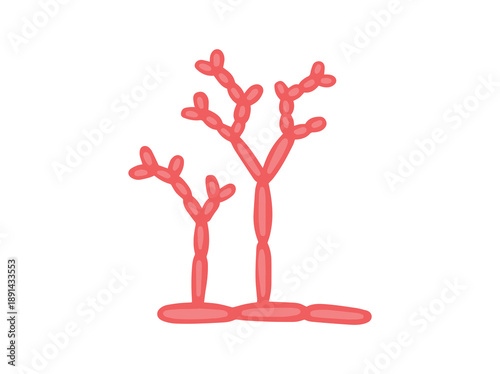 Hand Drawn Mold Cladosporium Fungus
