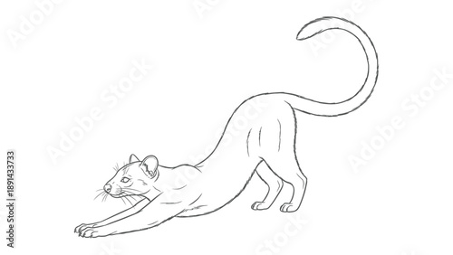 Leaping cat sketch: A graceful, sketched cat arches its back in a playful stretch, a dance of elegance and agility. The cat, rendered in a simple monochrome style, evokes a sense of comfort.