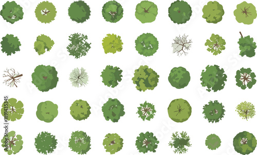 Mega collection of 40 realistic tree top view illustrations for landscape design, flat vector vegetation icons for park maps, garden layout and nature environment.
