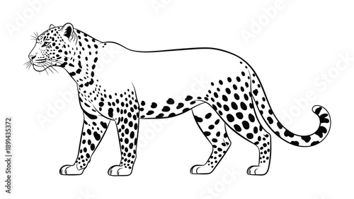 Leopard in Silhouette: A majestic leopard, its iconic spots and sleek form, is captured in elegant silhouette, a symbol of power, grace, and wild elegance.