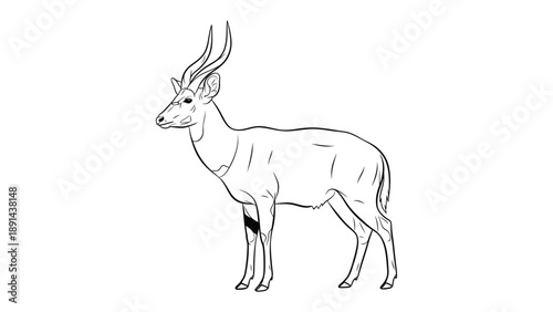 Elegant Antelope Silhouette: A sleek, minimalistic illustration showcases a graceful antelope, its slender frame and curved horns evoking a sense of the wild. 